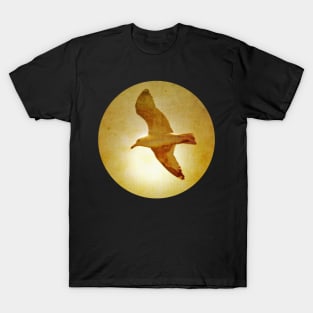 Gliding T-Shirt